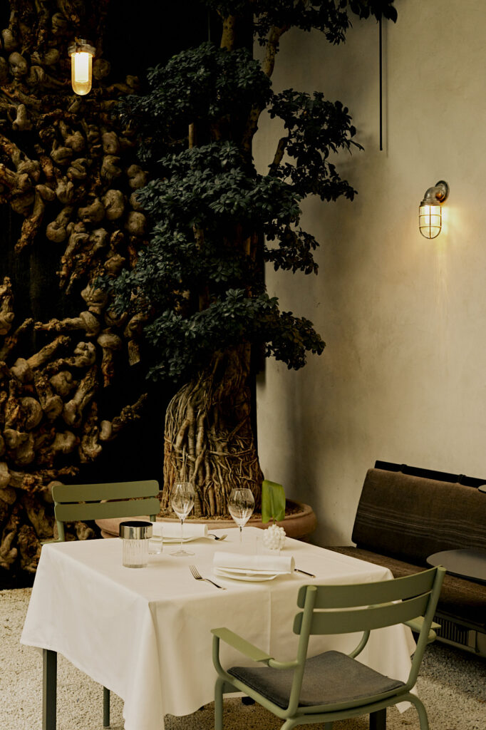 0C1A8033 1